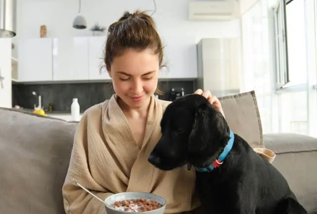 la harina de trigo integral es mala para los perros