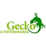 Gecko_C.Veterinaria