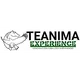 TEANIMA_Experience