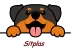 logo sitplas_ 95
