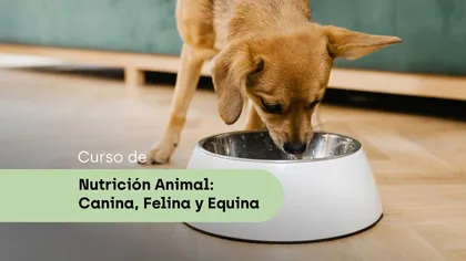 Nutrición Animales