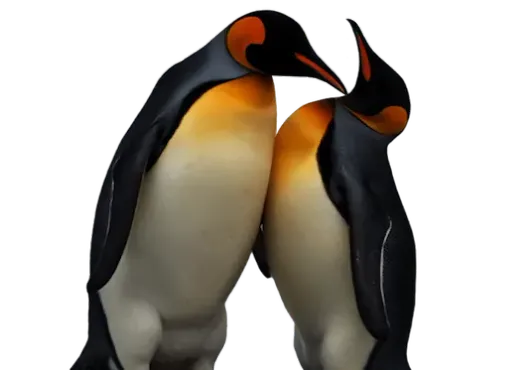 Recurso info escuela