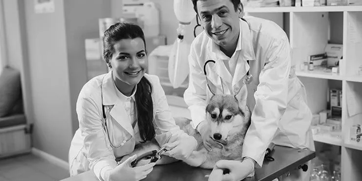 Imagen cabecera post