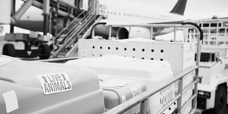 Imagen cabecera post