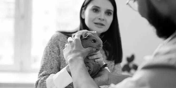 Imagen cabecera post