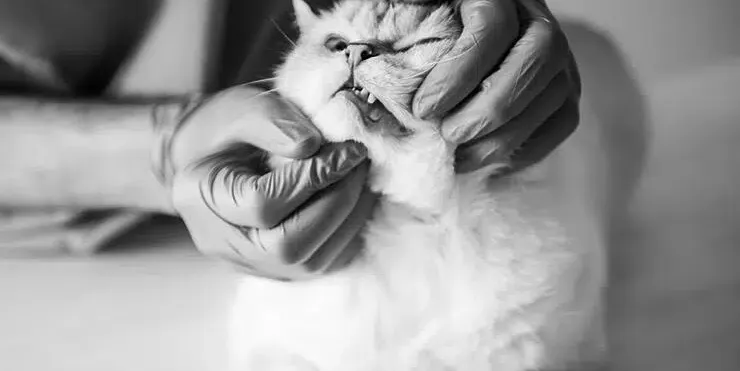 Imagen cabecera post