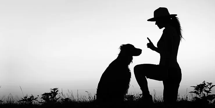 Imagen cabecera post