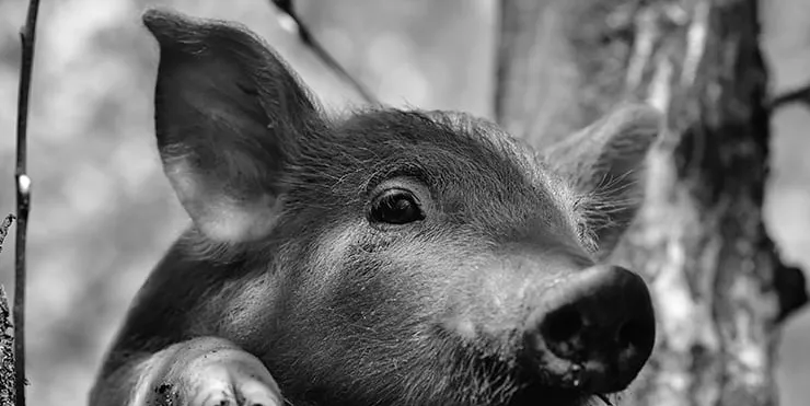 Imagen cabecera post