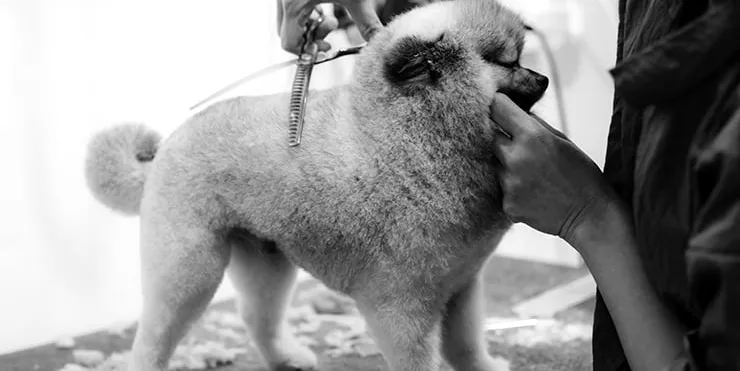 Imagen cabecera post