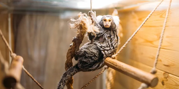 Imagen cabecera post