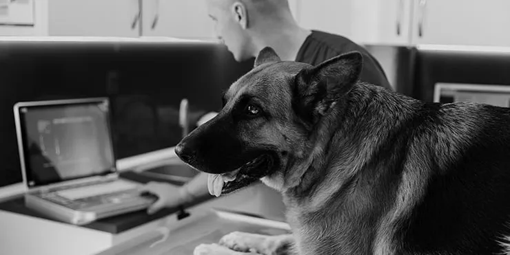 Imagen cabecera post