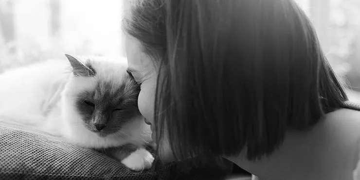 Imagen cabecera post