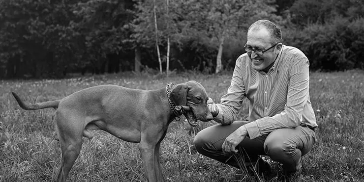 Imagen cabecera post