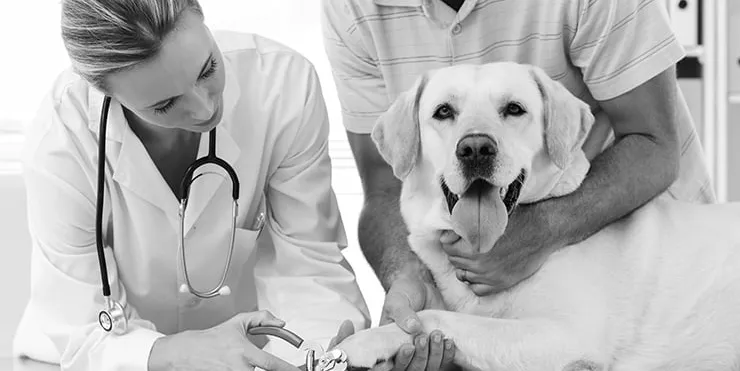 Imagen cabecera post