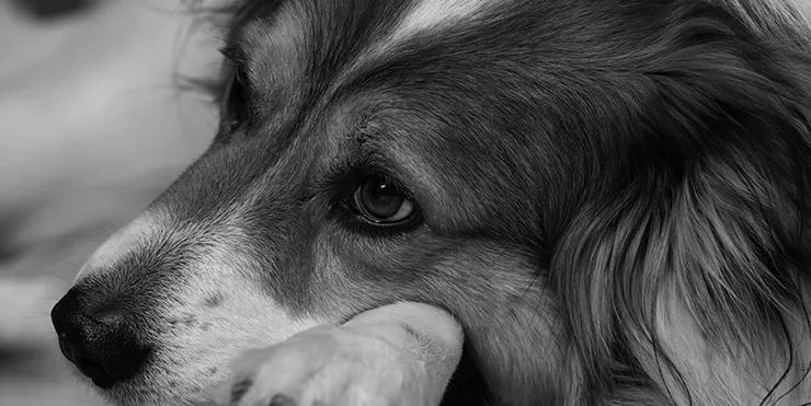 Imagen cabecera post