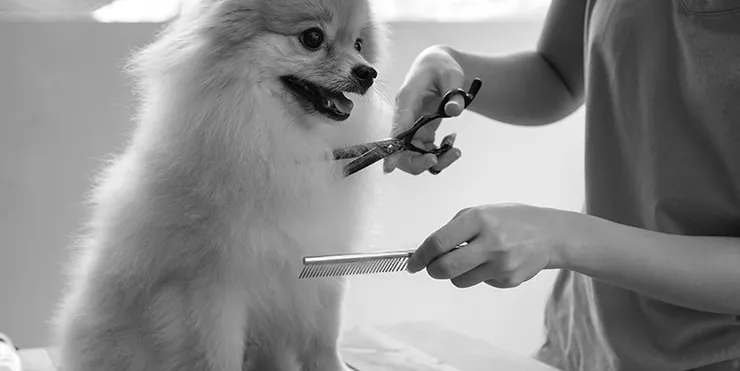 Imagen cabecera post