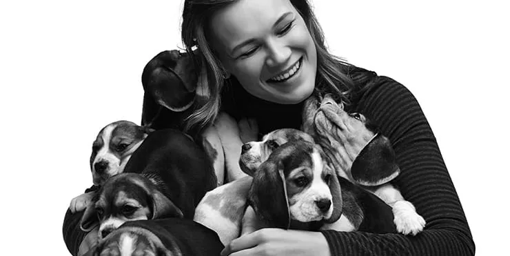 Imagen cabecera post