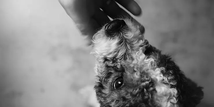 Imagen cabecera post