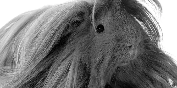 Imagen cabecera post