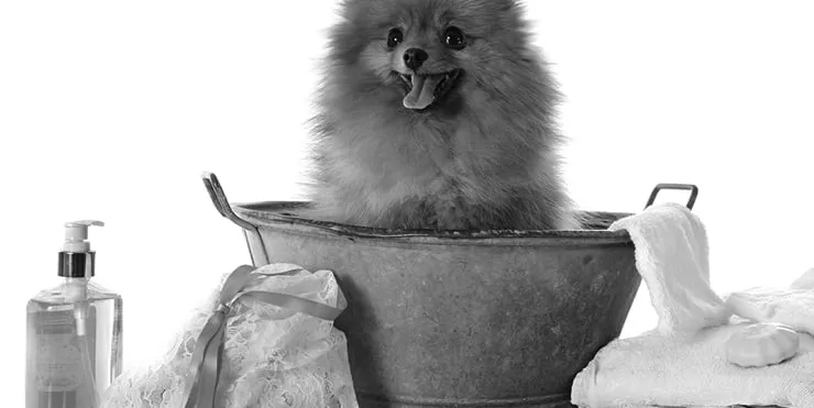 Imagen cabecera post