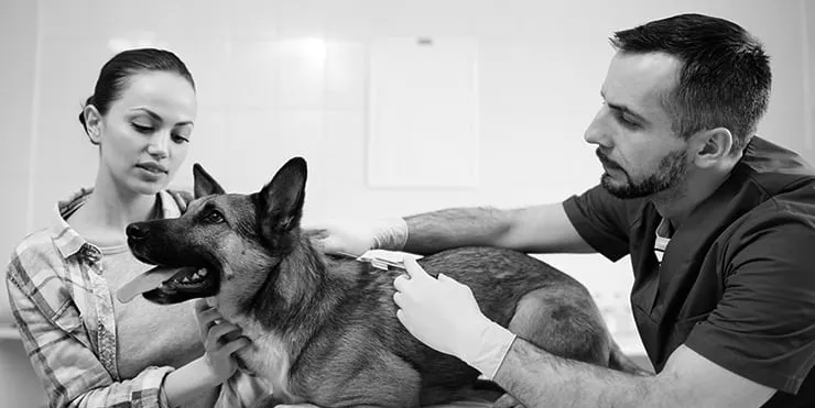 Imagen cabecera post