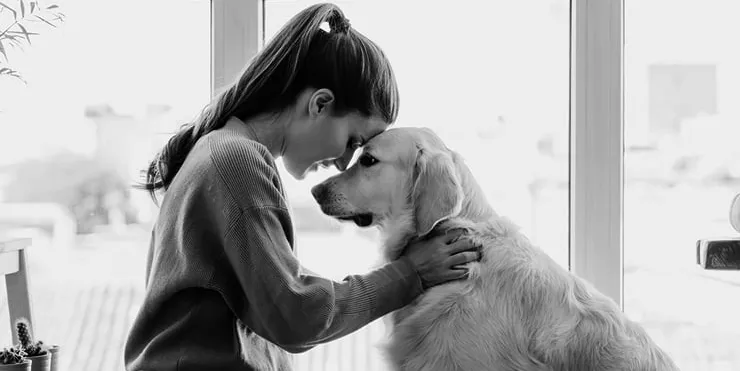 Imagen cabecera post