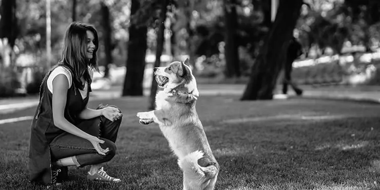 Imagen cabecera post