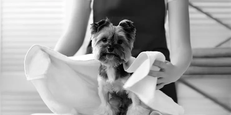 Imagen cabecera post