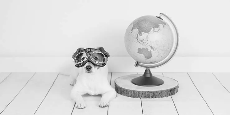 Imagen cabecera post