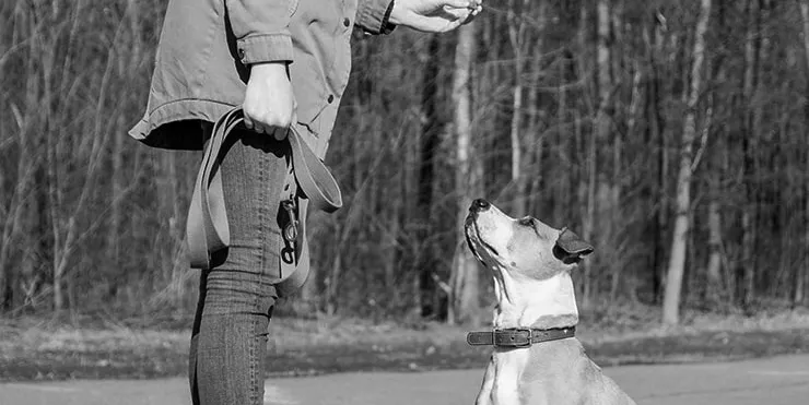 Imagen cabecera post