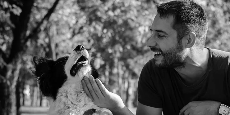 Imagen cabecera post