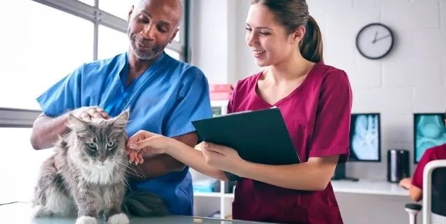 Imagen cabecera post