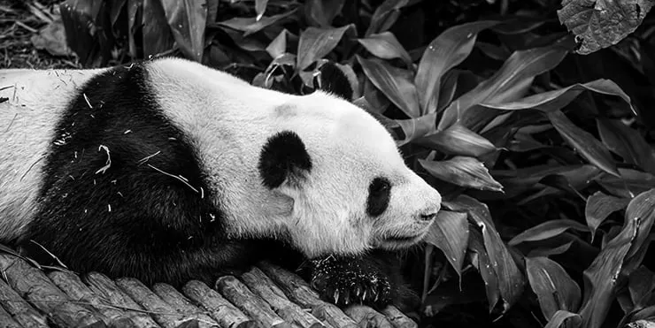 Imagen cabecera post