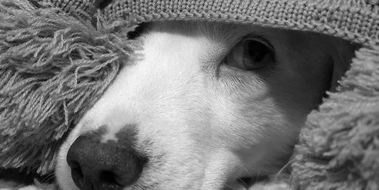 Imagen cabecera post