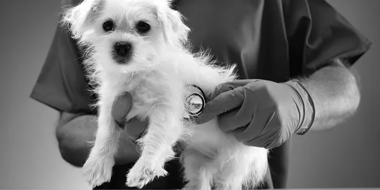 Imagen cabecera post