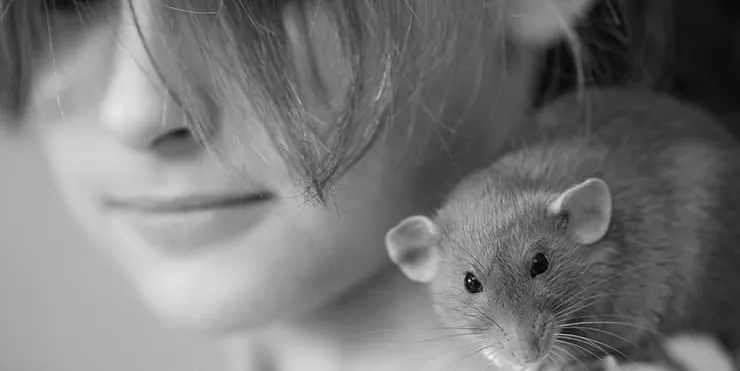 Imagen cabecera post