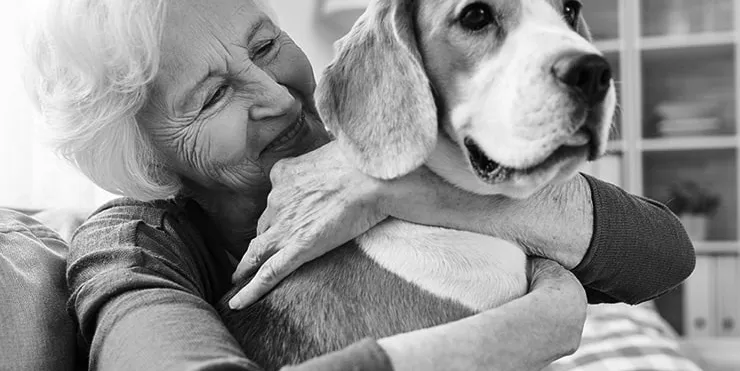 Imagen cabecera post