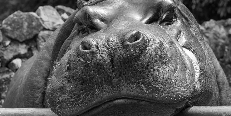 Imagen cabecera post