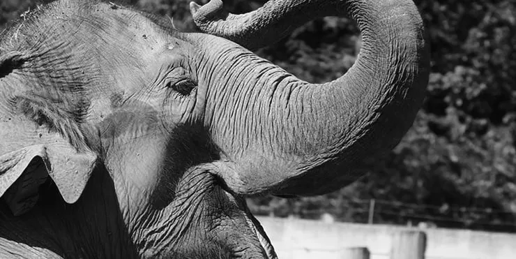 Imagen cabecera post