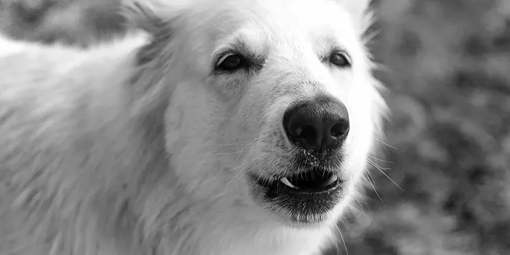 Imagen cabecera post