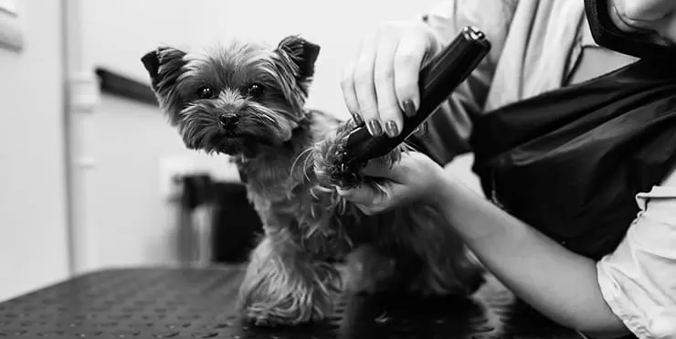 Imagen cabecera post