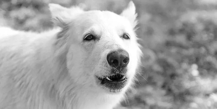 Imagen cabecera post