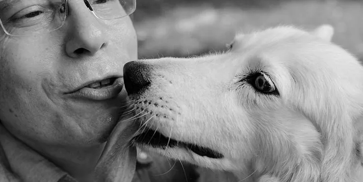 Imagen cabecera post