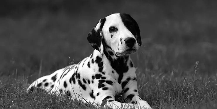 Imagen cabecera post