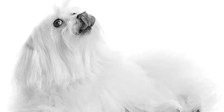 Imagen cabecera post