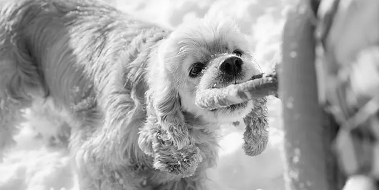 Imagen cabecera post