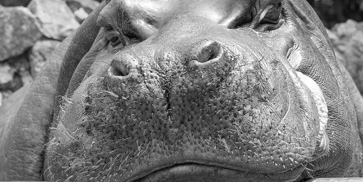 Imagen cabecera post