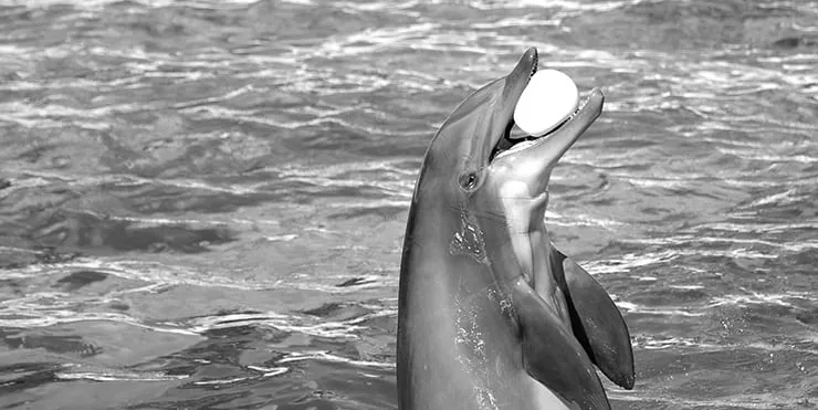 Imagen cabecera post