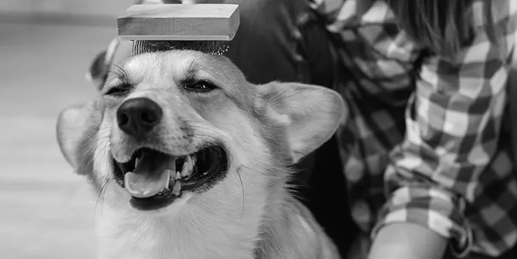 Imagen cabecera post