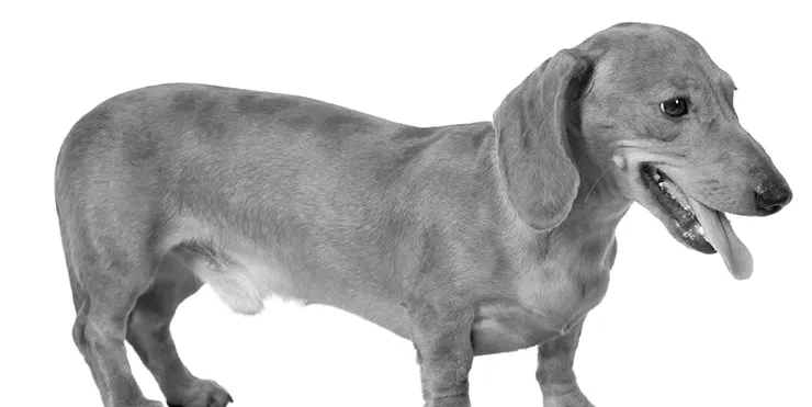 Imagen cabecera post